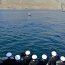 Cadetes de primer año de la Escuela Naval realizan su primer embarco a bordo del Buque 
