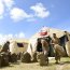 Marines reconocen la alta preparación de nuestros Infantes de Marina