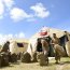  Marines reconocen la alta preparación de nuestros Infantes de Marina  