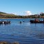 Autoridad Marítima apoyó rescate de ballena Sei en playa de Quinchao