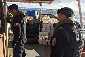 Armada y Sernapesca incautan 5.000 kilos de reineta en Valdivia