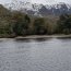 Armada y Conaf realizaron fiscalización de tala de bosque nativo