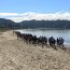 Grumetes participaron de corrida por senderos de la Isla Quiriquina