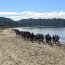  Grumetes participaron de corrida por senderos de la Isla Quiriquina  