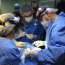 Armada y Universidad de Los Andes participaron en operativo odontológico en Juan Fernández