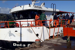 Armada y Carabineros incautan droga que era trasladada a Isla Santa María