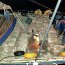  Autoridad Marítima incautó cerca de 18 toneladas de almejas en Puerto Chacabuco  