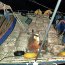 Autoridad Marítima incautó cerca de 18 toneladas de almejas en Puerto Chacabuco