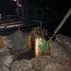 Autoridad Marítima incautó cerca de 18 toneladas de almejas en Puerto Chacabuco