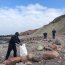  Retiran cerca de 10 toneladas de residuos de playa en Iquique  