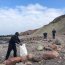 Retiran cerca de 10 toneladas de residuos de playa en Iquique