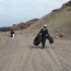 Retiran cerca de 10 toneladas de residuos de playa en Iquique