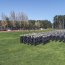 Escuela de Grumetes recibió un nuevo Estandarte Nacional