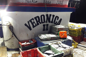1.400 kilos de reineta logran ser incautados en cercanías de Isla Mocha