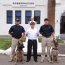  Ejemplares caninos de Arica recibieron condecoración por su servicio a la Armada  