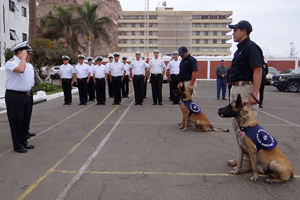 Ejemplares caninos de Arica recibieron condecoración por su servicio a la Armada