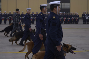 Canes y unidades aeronavales serán la novedad de la Armada en la Parada Militar 2018