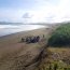  Escolares de La Araucanía participaron en jornada de limpieza de playas  