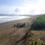 Escolares de La Araucanía participaron en jornada de limpieza de playas