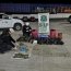 Armada y Carabineros incautaron más de 1.600 plantas de marihuana en Calbuco