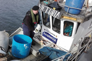 Fiscalización rutinaria en Calbuco detectó embarcación que transportaba municiones y merluza ilegal
