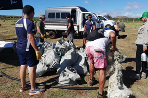Limpieza de Playas en Rapa Nui recolectó 440 kilos de residuos