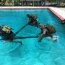 Infantes de Marina dictan cursos para la Armada de Guatemala
