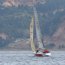 En la bahía de Talcahuano se desarrollan la Regata 150 años Escuela de Grumetes y el Campeonato Nacional J-24
