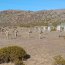Cadetes Infantes de Marina realizaron período práctico en Campo de Entrenamiento