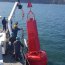 Moderna señalización marítima brinda seguridad a la navegación en la bahía de Concepción
