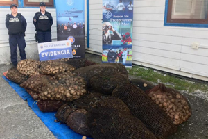 Patrullaje preventivo en Ancud permitió incautación de 2.52 toneladas de recursos hidrobiológicos