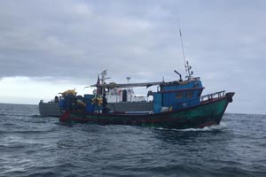 Detienen a embarcación peruana con 11 toneladas de tiburón azulejo extraído ilegalmente en el norte del país