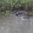 Personal naval continúa en las labores de rebusca de hombre desaparecido en el Río Tucapel