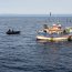 Armada incauta más de 800 kilos de reineta en el sur del país
