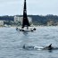 28 Yates dieron vida a la XVII versión de la regata “Arbotantes”