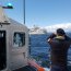  Unidades navales prestan apoyo a crucero francés que tocó fondo en Puerto Natales  