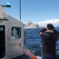 Unidades navales prestan apoyo a crucero francés que tocó fondo en Puerto Natales