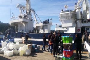 Buque “Cabo de Hornos” y científicos de la universidad de Concepción concluyeron con éxito expedición Taitao