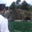 Armada rescata cuerpo sin vida en playa de Tomé