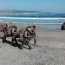 Cadetes participaron en el Campeonato de Patrullas de la Escuela Militar Lautaro 2018