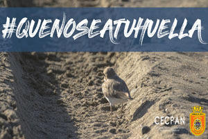 Armada lanza campaña de protección de playas y dunas en Chiloé