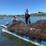 Capitanía de Puerto de Ancud decomisó 2 mil kilogramos de pelillo