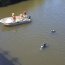 Simulacro Río Queule