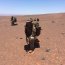 Cadetes Infantes de Marina realizaron período de entrenamiento en el norte del país
