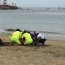  Inicio de la Temporada de Playas en Papudo llama al autocuidado con la consigna 