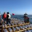 Más de 140 marinos serán parte del dispositivo de seguridad que se desplegará durante la fiesta de Año Nuevo en el Mar
