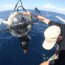 Armada de Chile y National Geographic participarán de investigación sobre los mares antárticos