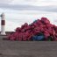 Seis toneladas de basura recolectó Porvenir en su “Limpieza de Playas”