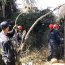 Con limpieza y construcción de viviendas Armada apoya a la comunidad de Limache
