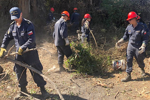 Con limpieza y construcción de viviendas Armada apoya a la comunidad de Limache
